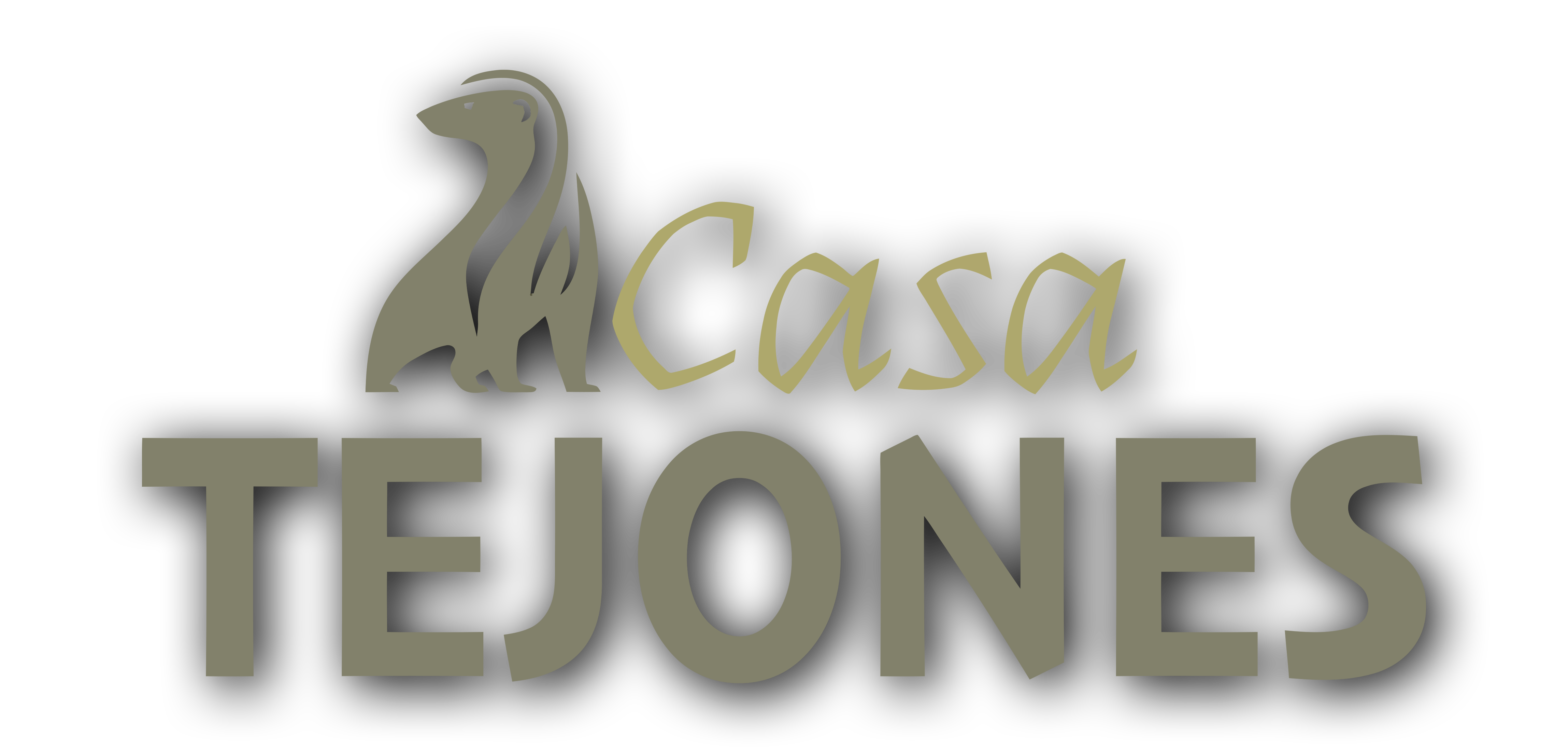Casa Tejones